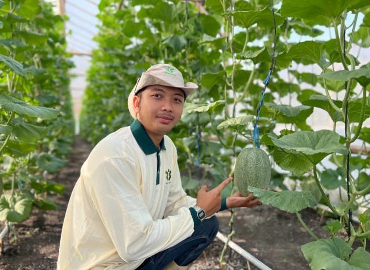 Wisata Petik Melon