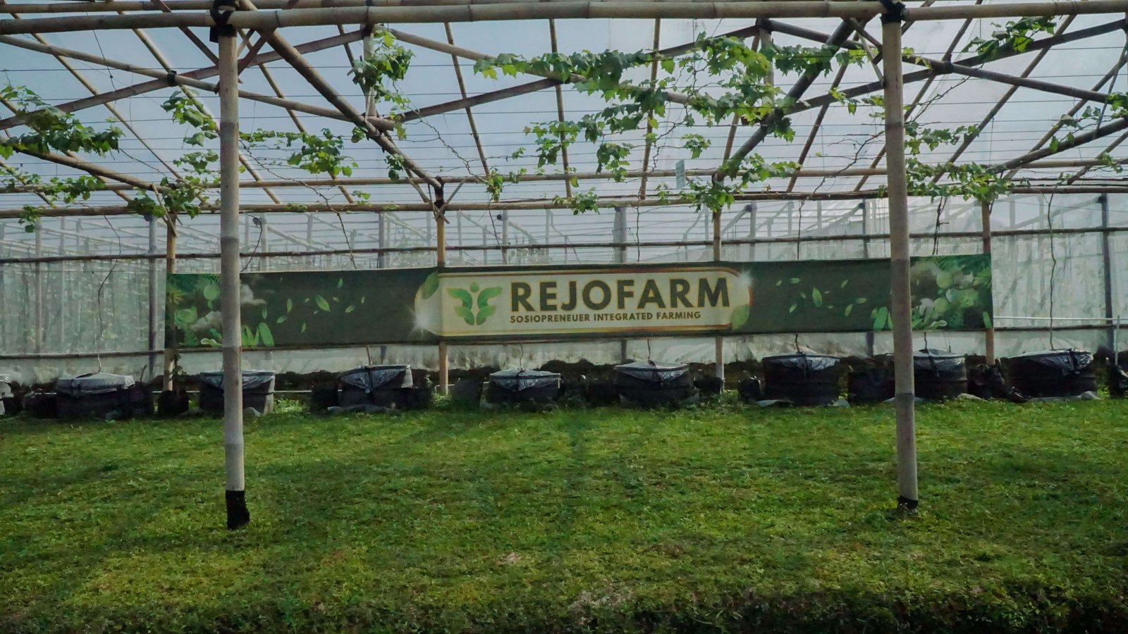 Rejo Farm Integrated Farming